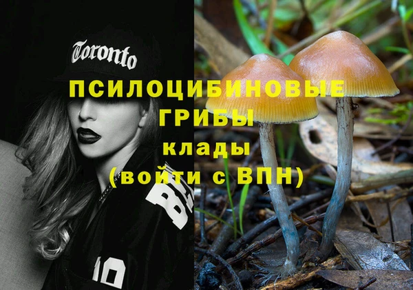 тгк Кулебаки