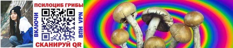 Купить закладки  Пестово  Псилоцибиновые грибы MAGIC MUSHROOMS 